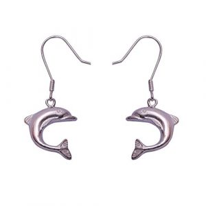 Dangle Earring For Girls and Women
