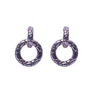 Drops & Dangle Earring - Sparkling Double Circle