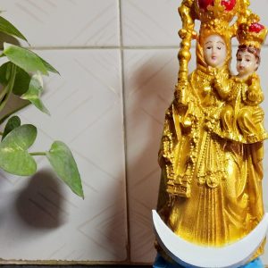 Our lady of Health Annai Velankanni Mary Statues for home decor Arogya Matha women Showpiece