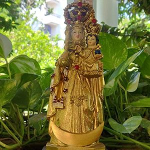 Breeze Handicrafts Imported Poly Resin Mary Statues for Home Decor Christian Gifts Showpiece Mother Mary Idol Figurine Medium Size [1] (Velankanni Mary)